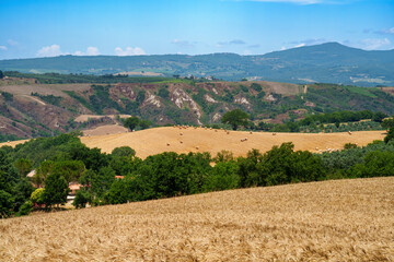 Fototapeta na wymiar Rural landscape in Val Teverina, Umbria, near Montecchio and Lugnano