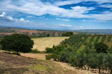 Fototapeta na wymiar Rurtal landscape in Val Teverina, Umbria, near Montecchio and Lugnano