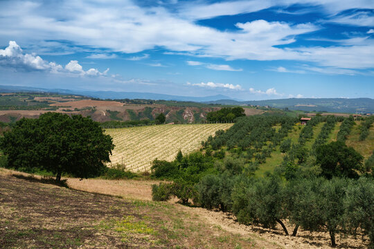 Rurtal landscape in Val Teverina, Umbria, near Montecchio and Lugnano