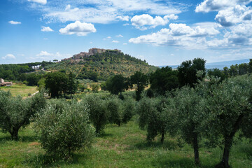 Rural landscape in Val Teverina, Umbria, near Montecchio and Lugnano - obrazy, fototapety, plakaty