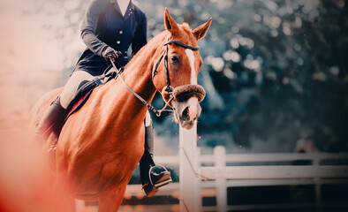 A beautiful sorrel horse with a rider in the saddle rides at equestrian competitions. Equestrian...