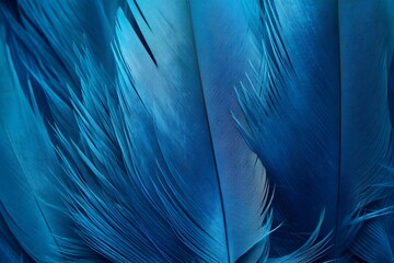 Macro of Blue Feathers Texture as Background. Swan Feather. Dark Blue Feather Vintage Backdrop.