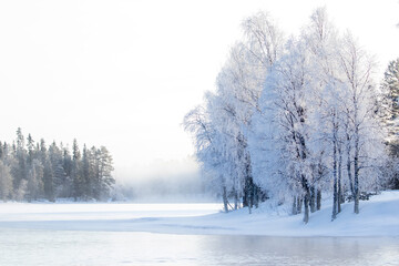 Trees covered with hoarfrost by the frozen river on a cold winter morning in Northern Finland,...