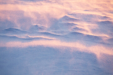 Surface of snow with blizzard on cold winter morning during sunrise in Finnish nature
