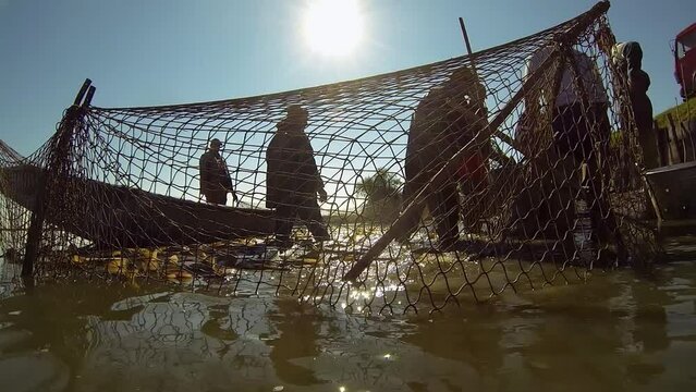 Fishermen Harvesting Fish from a Fish Pond - Sustainable Fish Farming. Freshwater Aquaculture. Fish in Commercial Fishing Net. Group of Fishermen at Work.