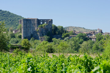 Fototapeta na wymiar Château d'Alba-la-Romaine