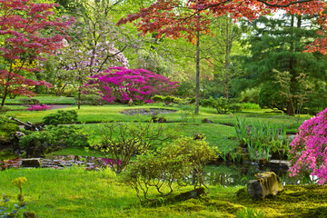 Japanese garden in spring, Den Haag, Holland