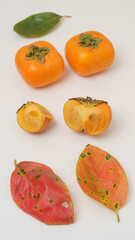 日本の柿・秋のイメージ