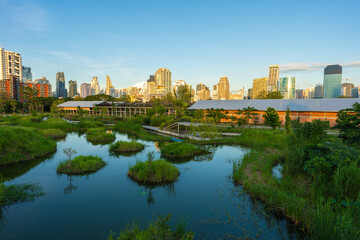 Fototapeta premium Benchakitti swamp river tropical forest park with modern office building