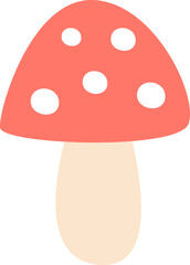 Fly Agaric Mushroom
