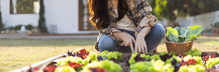 Pretty young organic vegetable gardener chopping perfectly ripe vegetables into a basket for...