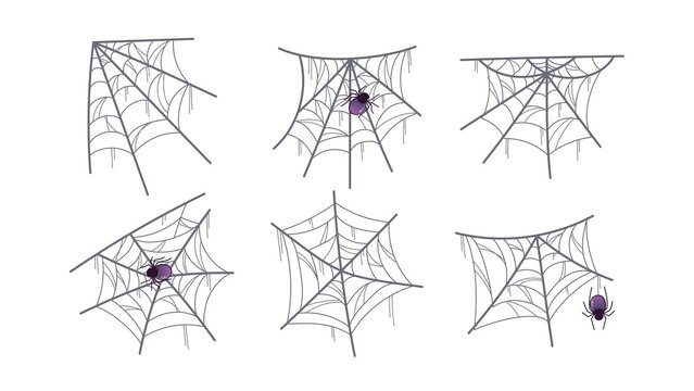 Animated Spiders Web Halloween Decoration