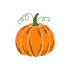 Pumpkin. Thanksgiving and Halloween Elements. Hand drawn vector illustration.