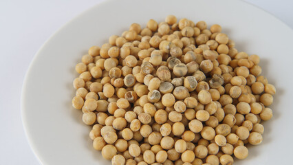 カビの生えてしまった大豆