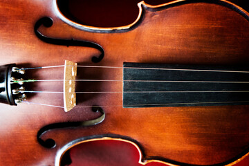 violin on black background