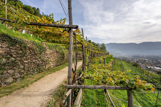 Algunder Waalweg - Meran - S&uuml;dtirol - Italien
