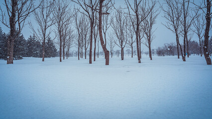 紋別　網走　北海道　流氷