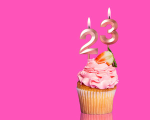 Birthday Cupcake With Candle Number 23