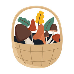 Basket With Mushrooms