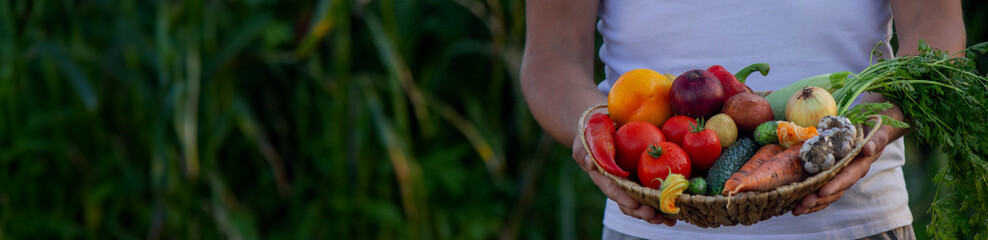 male farmer holding freshly picked vegetables. Selective focus.