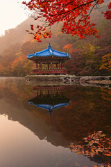 Amazing frame of red ancient pavilion and colorful maple trees in small pond, Autumn scene of Naejangsan national park in South Korea.