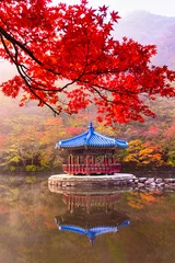 Poster Amazing frame of red ancient pavilion and colorful maple trees in small pond, Autumn scene of Naejangsan national park in South Korea. © Theerayoot