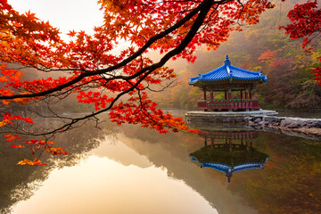 Amazing frame of red ancient pavilion and colorful maple trees in small pond, Autumn scene of...
