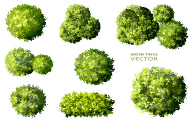 Vector watercolor green tree or forest side view isolated on white background for landscape and architecture drawing,elements for environment or garden,botanical element for exterior section in spring