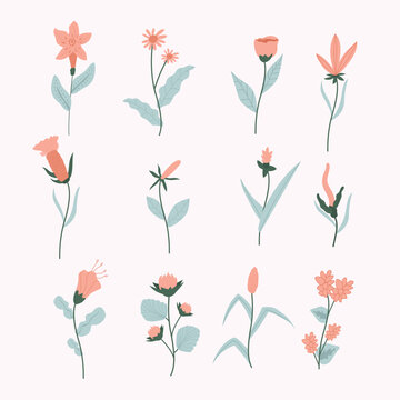 set of various flowers.Flowering Variety Icon Set.Floral Diversity Icon Set.Tulip flower.archid flower.Rose flower.Sunflower.