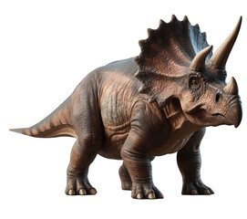 triceratops isolated on white - obrazy, fototapety, plakaty