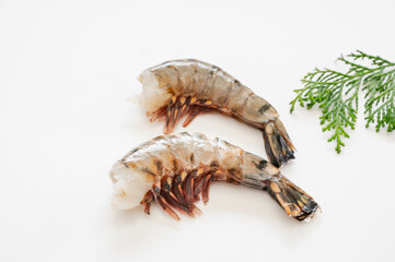 無頭エビ　ブラックタイガー