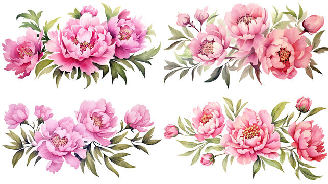 Watercolor pink flowers ornament set. Hand drawn isolated on transparent background.