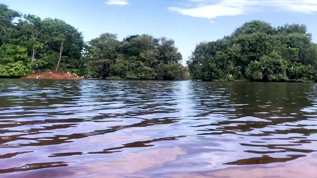Sarah kubitschek city park in Bras&iacute;lia. Largest urban natural park in Latin America. HD video