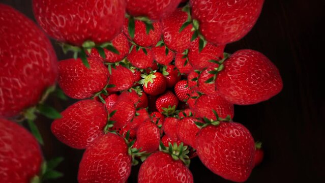 Strawberries spiraling and falling into a fruit basket full of berries on black background slow motion