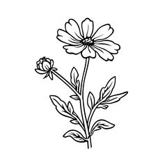line drawing, line art png, line art prints, spring clipart, line art rose, rose clipart, floral svg, flower png, wildflower svg, flower clipart, bouquet svg, tattoo svg, line art, svg files, svg file