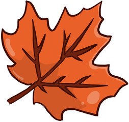 Maple leaf illustration