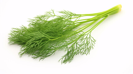 Isolated dill, with full focus, on a blank canvas.
