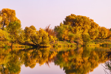 Bright autumn on the pond. Autumn reflections. Autumn background. Selective focus