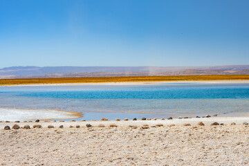 Atração turístia Laguna Piedras no deserto do Atacama. Lagoa com alta concentração de sal. 