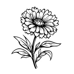 flower, vector, floral, nature, illustration, leaf, design, plant, flowers, pattern, decoration, art, spring, vintage, drawing, bouquet, flora, summer, blossom, element, ornament, card, wallpaper, sty