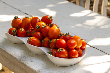 close up of plate of fresh Italian tomatoes on an outdoor table with shade from the trees