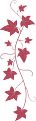 Floral ivy drawing decorative ornament flat design.