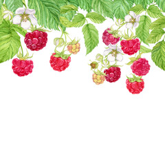 Composition of hanging raspberry branches. Watercolor red berries grow on branches, green leaves and flowers. Hanging from above is a bunch of garden berries, a harvest of natural products.