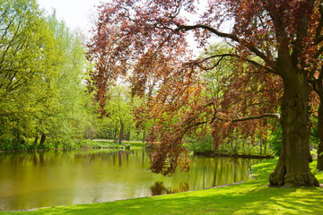 Vondel park - famouse location of Amsterdam, Holland