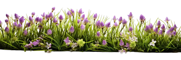 Foto op Canvas Fresh Green Grass With Small Flowers Purple On Transparent Background © thoharoh