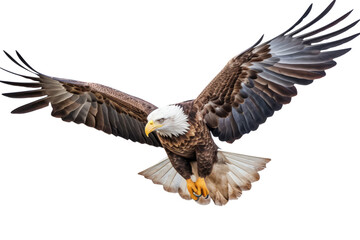 Fototapeta premium Bald eagle in flight on transparent background,generative ai