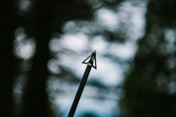 A bowhunter's steel arrow silhouetted against trees and sky at dawn