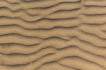 Dune waves and sand pattern. Wave, sand dunes. The sand changes shape due to the wind to form sand ripples and jagged lines. Selective focus. Copy space.