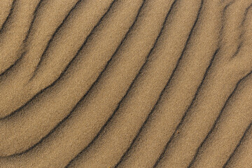 Fototapeta na wymiar Dune waves and sand pattern. Wave, sand dunes. The sand changes shape due to the wind to form sand ripples and jagged lines. Selective focus. Copy space.