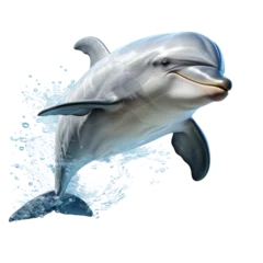 Schilderijen op glas A simple vector of dolphin, transparent background © Krisana